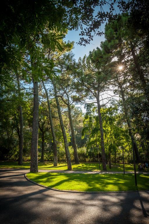 Camping La Sousta**** Remoulins
