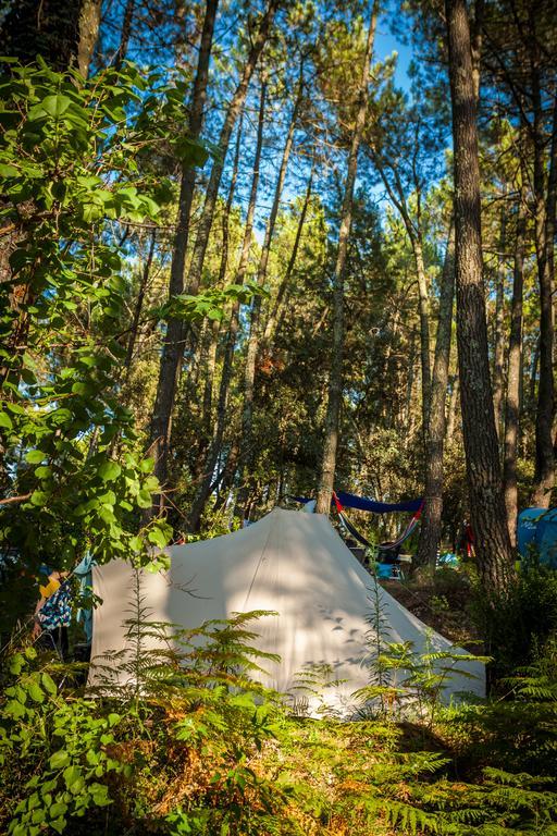 La Sousta**** Camping Remoulins